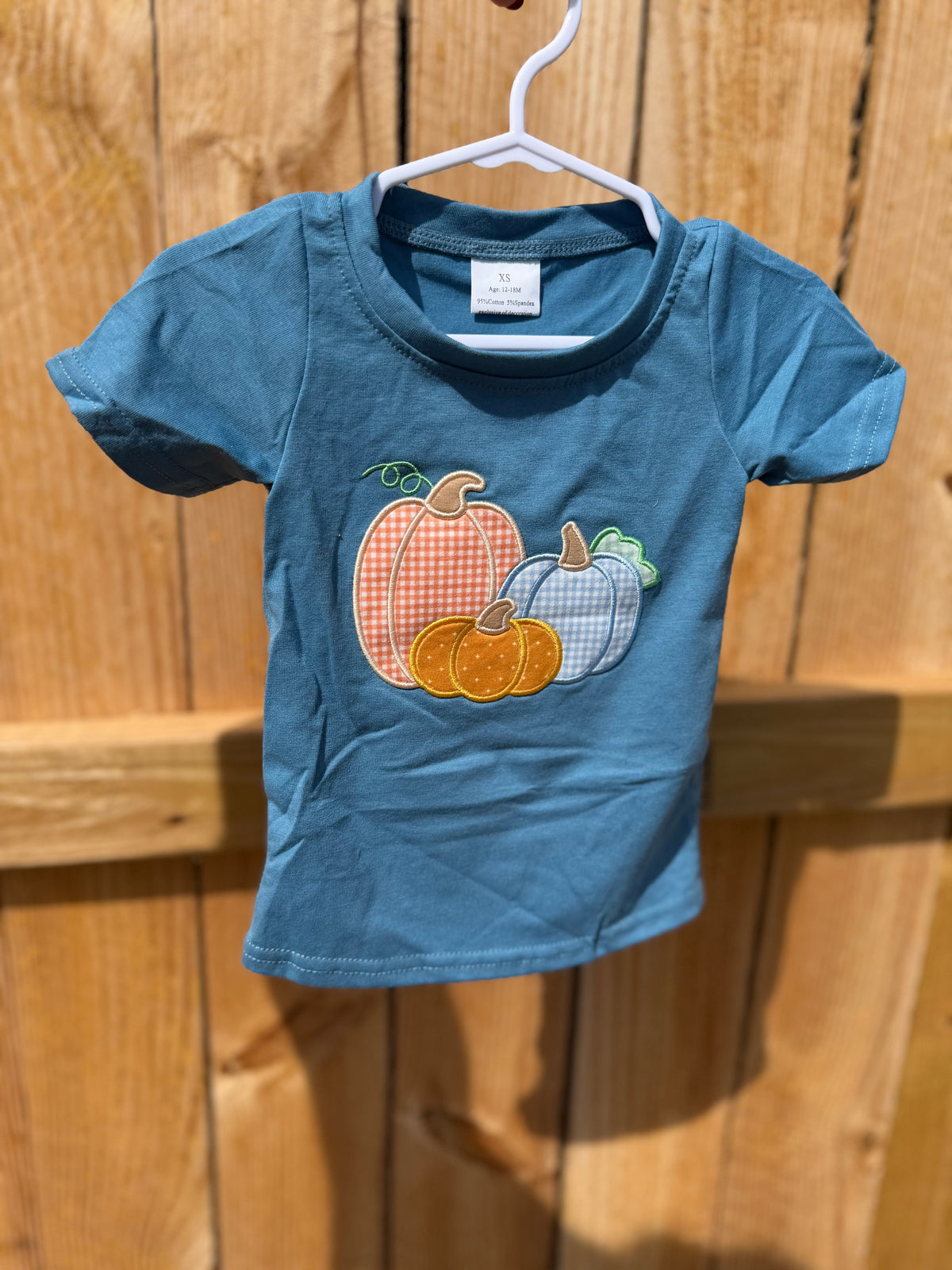 🎃 | Pick of the Patch Pumpkin Tee